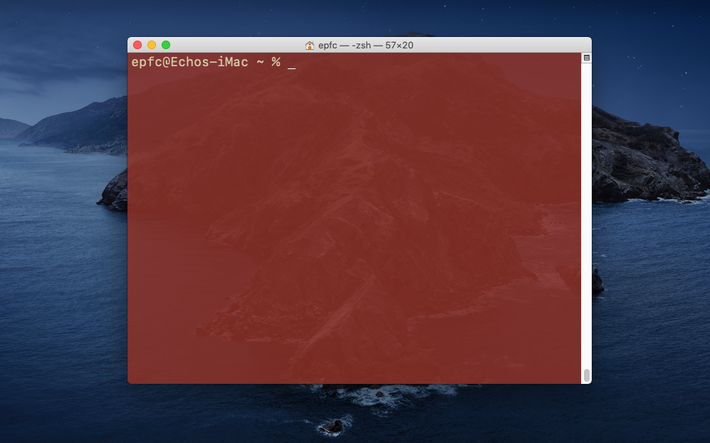 The macOS Terminal